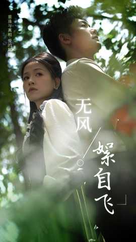 无风絮自飞