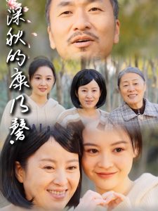 深秋的康乃馨