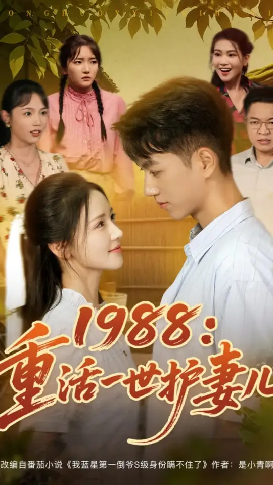 1988重活一世护妻儿