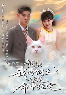 午夜缅因猫我的饲主竟是命中注定